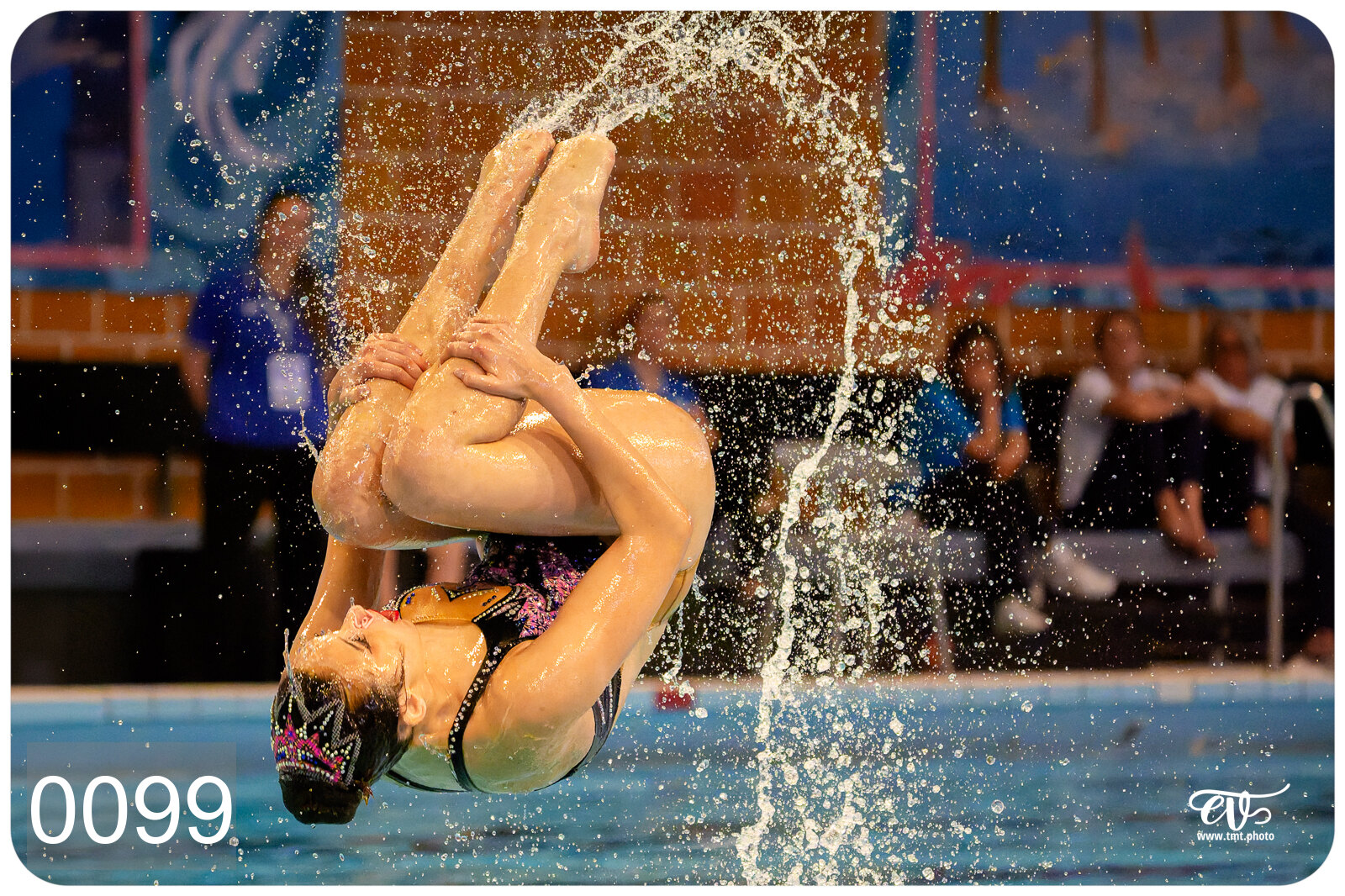 CHAMPIONNAT DE FRANCE DE NATATiON ARTISTIQUE N1 & ELITE 2026